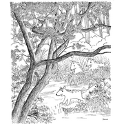 Hier&nbsp;wonen&nbsp;de&nbsp;kwispels