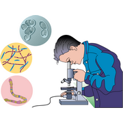 leerling&nbsp;kijkt&nbsp;door&nbsp;microscoop,&nbsp;